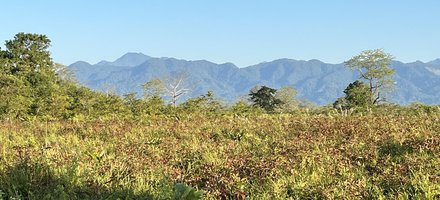 Manas Wildlife Sanctuary