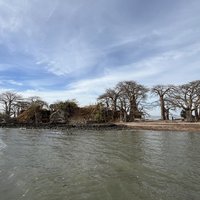 Kunta Kinteh Island