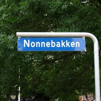 Welcome to Nonnebakken