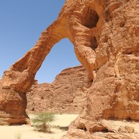 Elephant Arch by Els