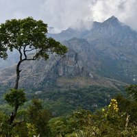 Mulanje - mountain