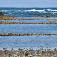 Agulhas National Park by Randi Thomsen
