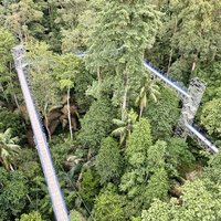 FRIM Skywalk by Bram de Bruin