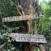 Mijienda Kambe forest