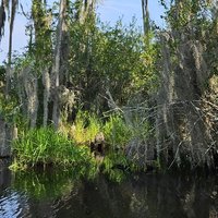 Okefenokee National Wildlife Refuge