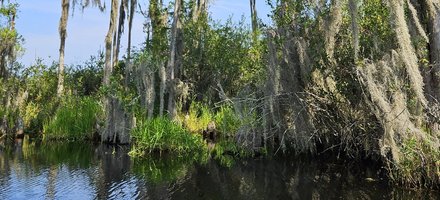 Okefenokee National Wildlife Refuge