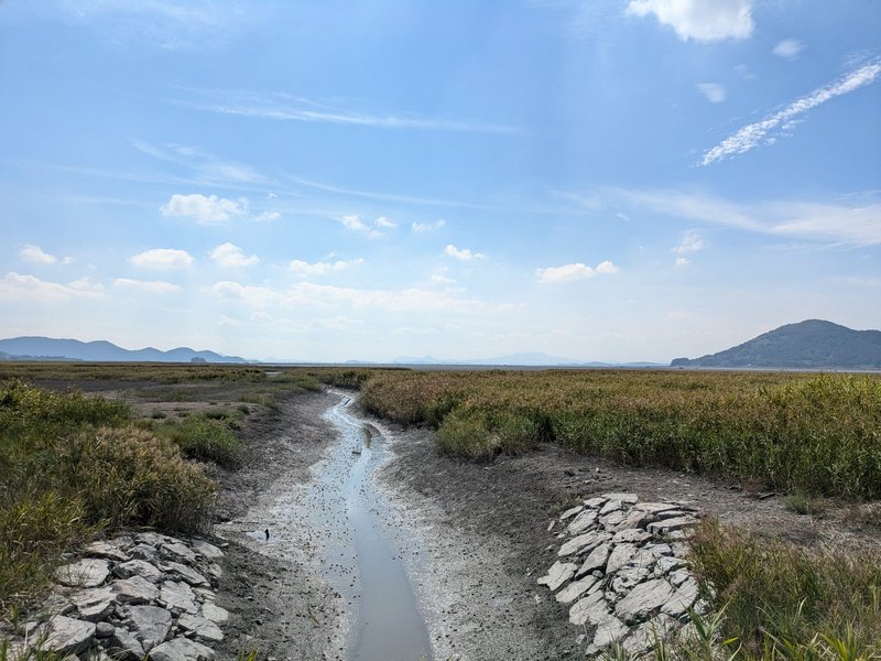 Suncheon Wetlands