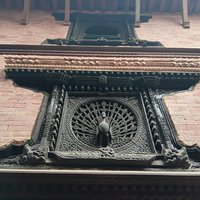 Peacock Window