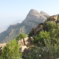 Bioclimatic Refugia of Western Arabia