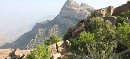 Bioclimatic Refugia of Western Arabia