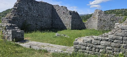 Doclea