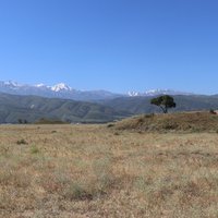 Silk Road