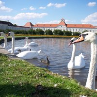 Schlosspark Nymphenburg Munich