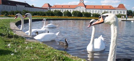 Schlosspark Nymphenburg Munich