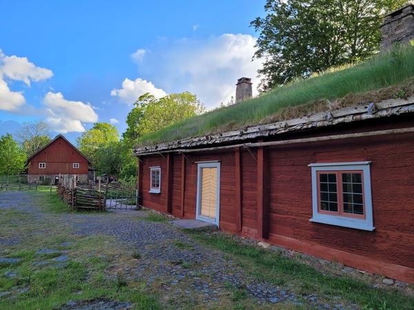 The Rise of Systematic Biology