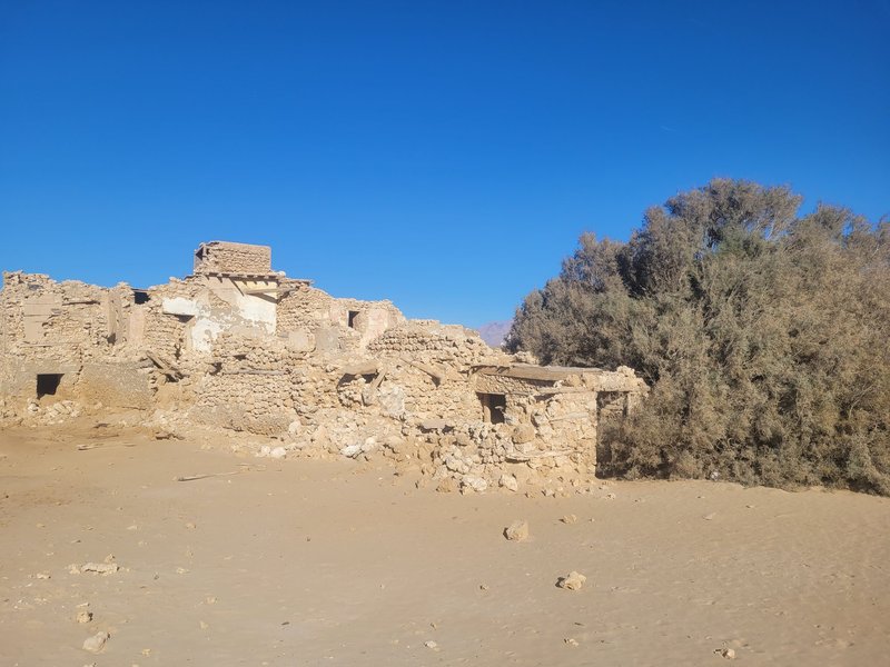El Tor
