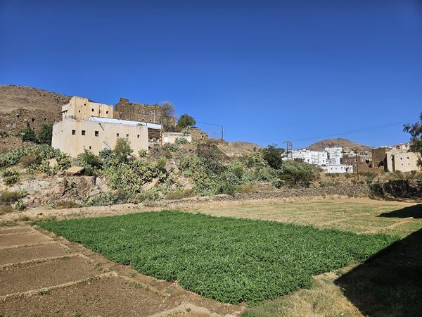 The Rural Cultural Landscapes of Sarawat Mountains