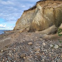 The Bony Fish Fossils of the Western Limfjord