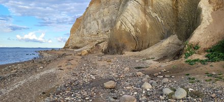 The Bony Fish Fossils of the Western Limfjord