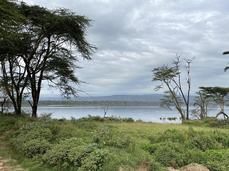 Lake Nakuru
