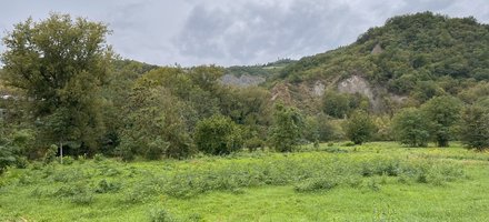 Evaporitic Karst and Caves