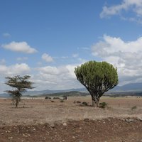 Mount Kenya