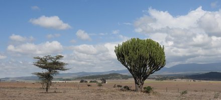 Mount Kenya