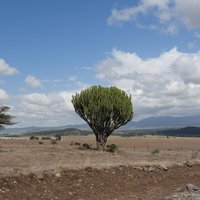 Mount Kenya