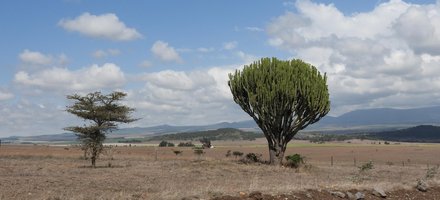 Mount Kenya