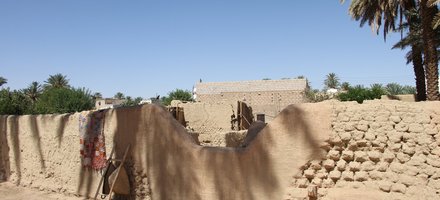 The Ancient Walled Oases of Northern Arabia