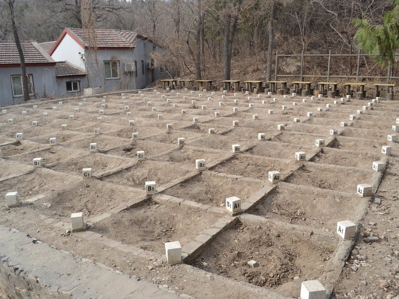 Peking Man Site