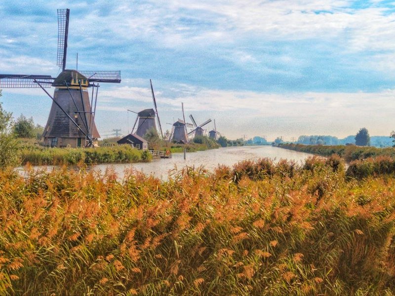 Kinderdijk
