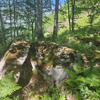 Stecci: Grcko groblje, Pluzine