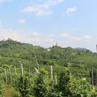 The Prosecco Hills