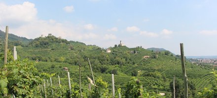 The Prosecco Hills