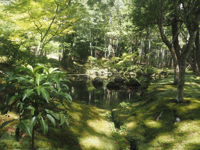 Ancient Kyoto by Elena Y