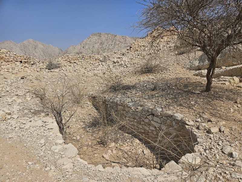 Shimal: Remains of Palace