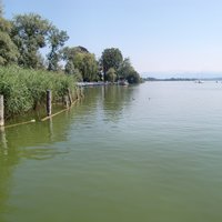 Pile Dwellings: Storen-Wildsberg