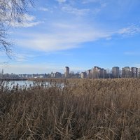 Prehistoric Pile Dwellings: Sumpf