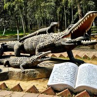 The Alligator Sinensis Nature Reserve by Roman Bruehwiler