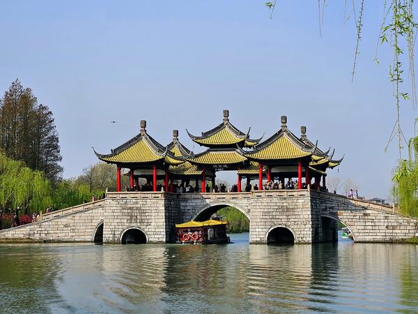 The Alligator Sinensis Nature Reserve by Roman Bruehwiler
