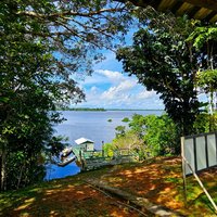 Anavilhanas Ecological Station by Roman Bruehwiler
