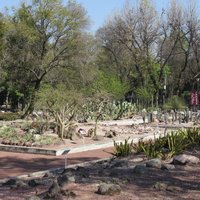 Chapultepec Woods, Hill and Castle