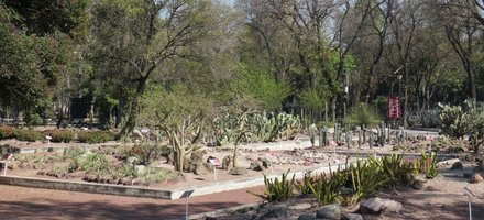 Chapultepec Woods, Hill and Castle