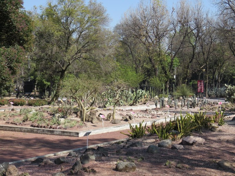 Chapultepec Woods, Hill and Castle by Els Slots
