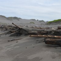 Sigatoka Sand Dunes