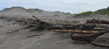 Sigatoka Sand Dunes