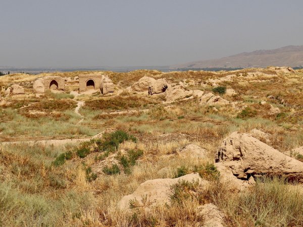 The Site of Ancient Town of Pyanjekent by Walter