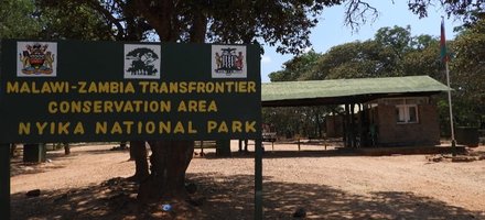 Nyika-Vwaza Wildlife Reserve