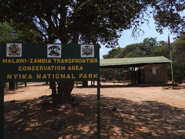 Nyika National Park by Roman Bruehwiler